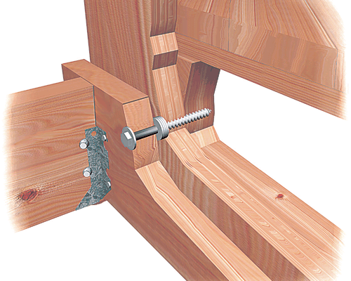 Cutaway Showing a Lag Screw